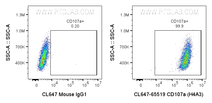 FC experiment of HeLa using CL647-65519