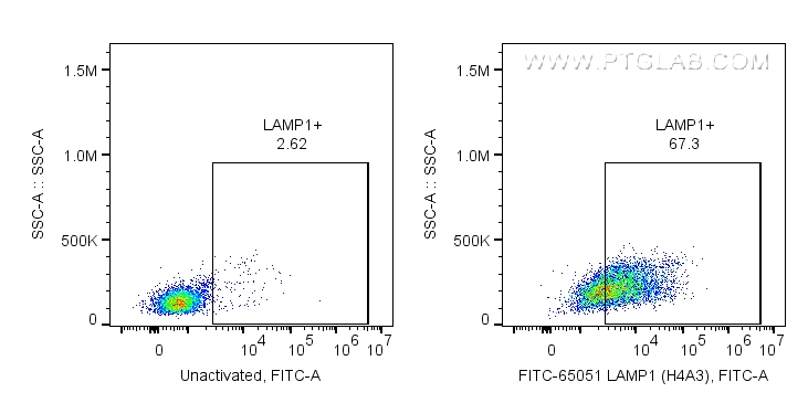 FC experiment of human PBMCs using FITC-65051