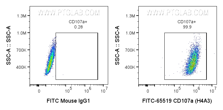 FC experiment of HeLa using FITC-65519