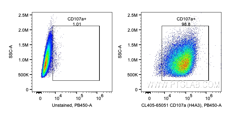 CD107a / LAMP1