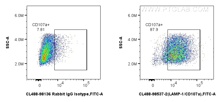 FC experiment of mouse peritoneal macrophages using CL488-98537-2