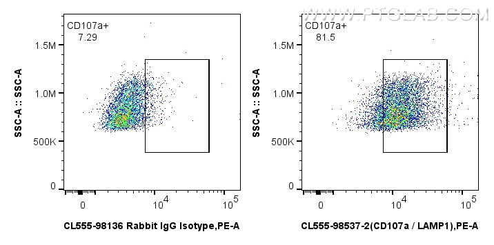 1x10^6 mouse peritoneal macrophages were surface stained with 0.25 ug CoraLite® Plus 555 Anti-Mouse CD107a / LAMP1 Rabbit RecAb (CL555-98537-2, Clone: 250972H5) or 0.25 ug CoraLite® Plus 555 Rabbit IgG Isotype Control Recombinant Antibody (<a class='green' href='/productredirect?CatalogNo=CL555-98136' target='_blank'>CL555-98136</a>, Clone: 240953C9). Cells were not fixed. FC experiment of mouse peritoneal macrophages using CL555-98537-2
