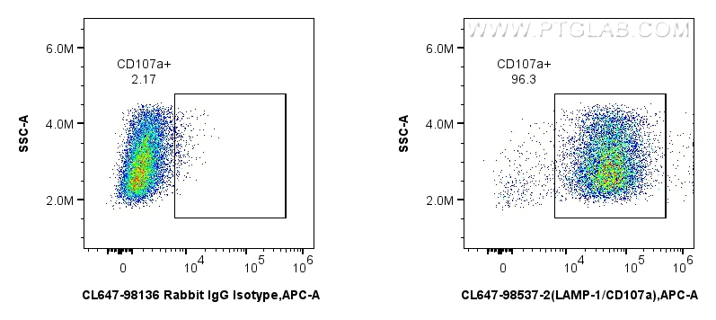 1x10^6 mouse peritoneal macrophages were surface stained with 0.25 ug CoraLite® Plus 647 Anti-Mouse CD107a / LAMP1 Rabbit RecAb (CL647-98537-2, Clone:250972H5) or CoraLite® Plus 647 Rabbit IgG Isotype Control Recombinant Antibody (<a class='green' href='/productredirect?CatalogNo=CL647-98136' target='_blank'>CL647-98136</a>, Clone: 240953C9). Cells were incubated with FC Receptor Block prior to staining and fixing. Cells were not fixed. FC experiment of mouse peritoneal macrophages using CL647-98537-2