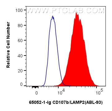 FC experiment of NIH/3T3 using 65052-1-Ig