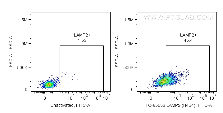 FC experiment of human PBMCs using FITC-65053