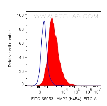 FC experiment of human PBMCs using FITC-65053