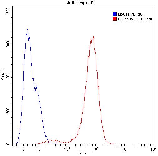 CD107b / LAMP2