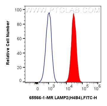 FC experiment of Jurkat using 65566-1-MR (same clone as 65566-1-PBS)