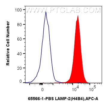 CD107b / LAMP2