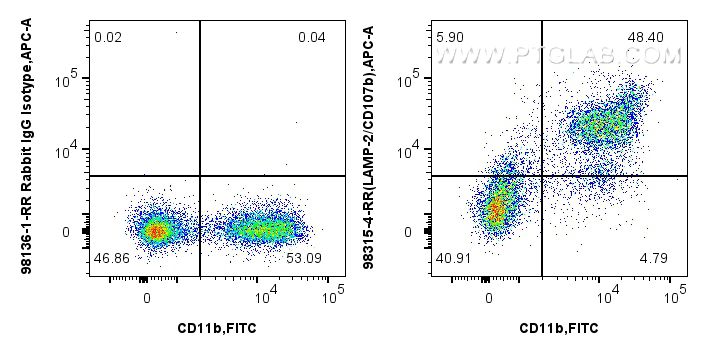 FC experiment of mouse bone marrow cells using 98315-4-RR (same clone as 98315-4-PBS) FC experiment of mouse bone marrow cells using 98315-4-RR (same clone as 98315-4-PBS)