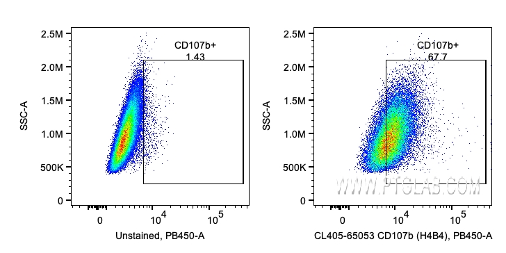 FC experiment of HeLa using CL405-65053