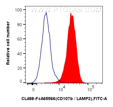 FC experiment of Jurkat using CL488-FcA65566