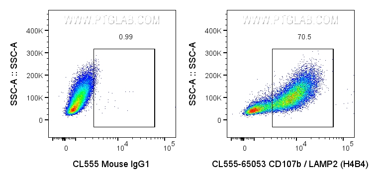FC experiment of Jurkat using CL555-65053