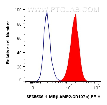 FC experiment of Jurkat using SF65566-1-MR