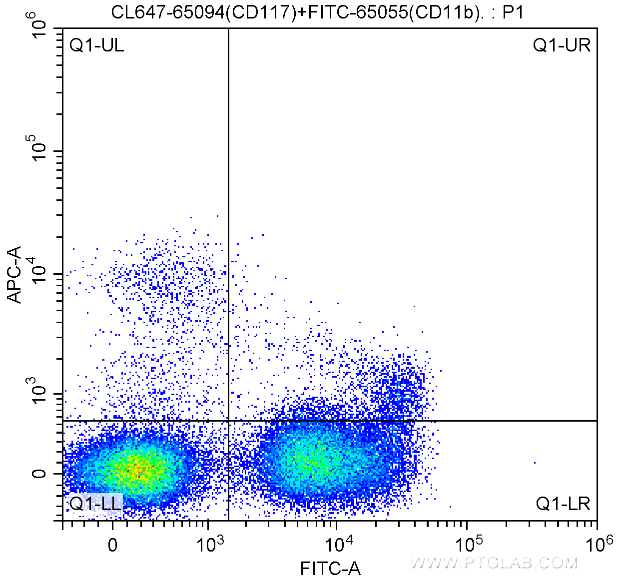 FC experiment of mouse bone marrow cells using CL647-65094