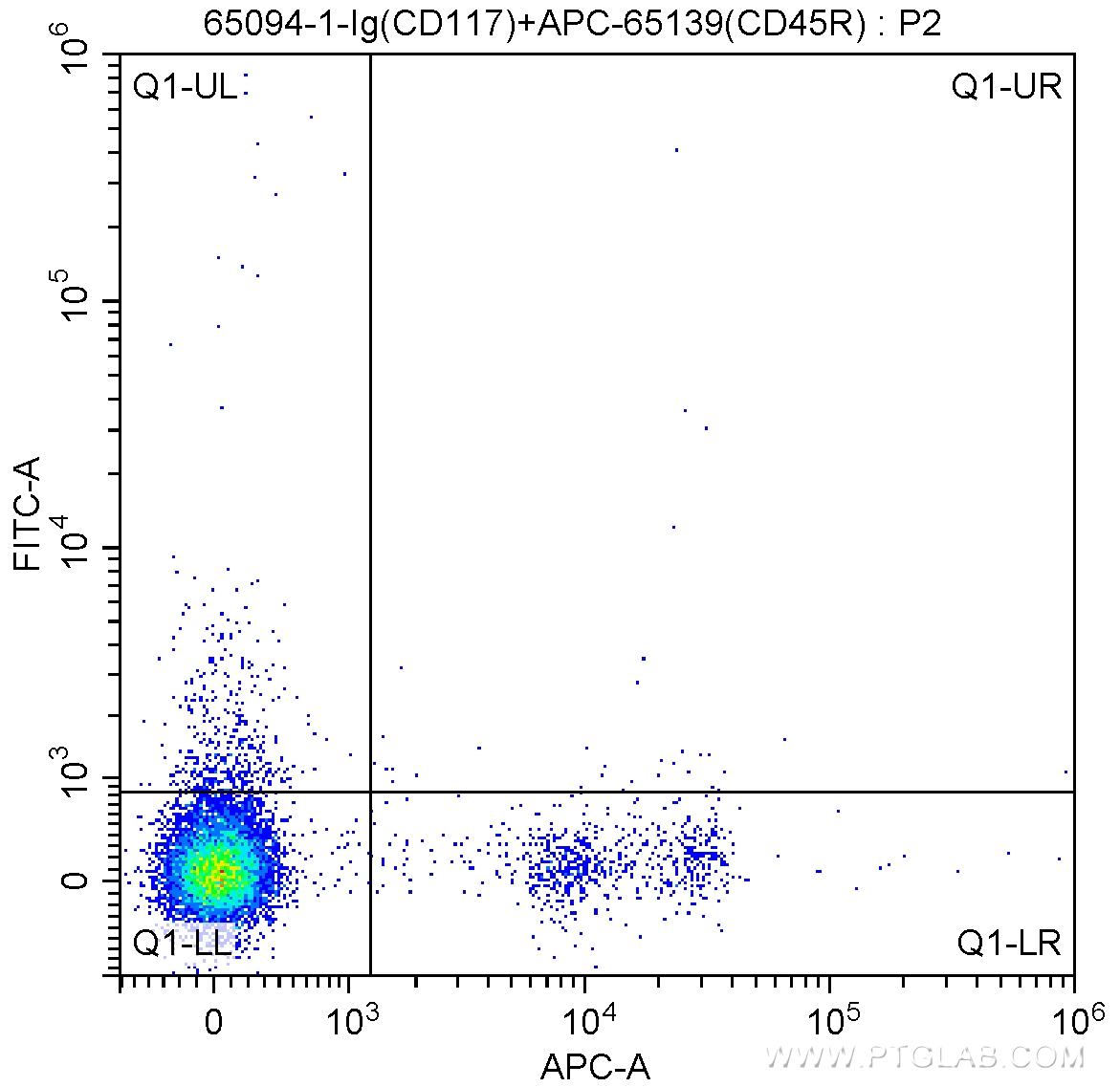 FC experiment of mouse bone marrow cells using 65094-1-Ig