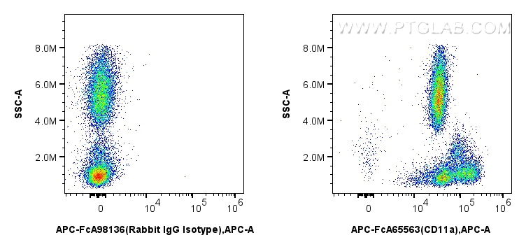 FC experiment of human peripheral blood leukocyte using APC-FcA65563