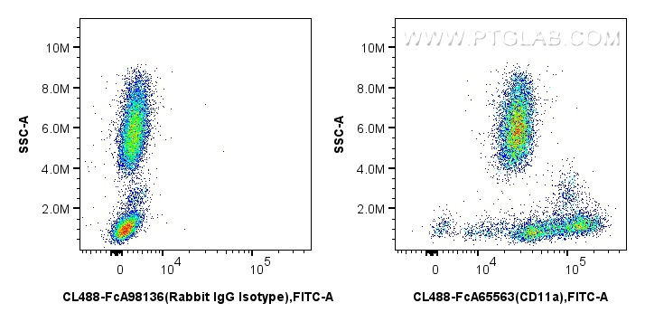 FC experiment of human peripheral blood leukocyte using CL488-FcA65563 FC experiment of human peripheral blood leukocyte using CL488-FcA65563