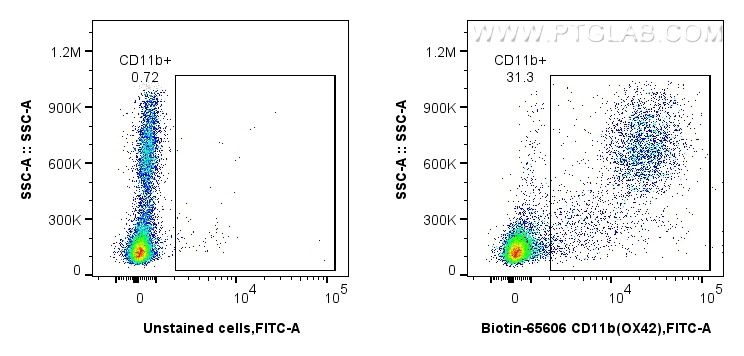 FC experiment of rat bone marrow cells using Biotin-65606