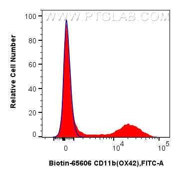 FC experiment of rat bone marrow cells using Biotin-65606