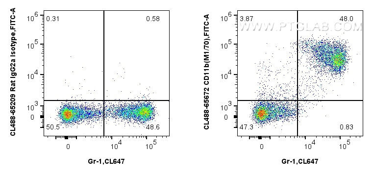 FC experiment of mouse bone marrow cells using CL488-65672 FC experiment of mouse bone marrow cells using CL488-65672