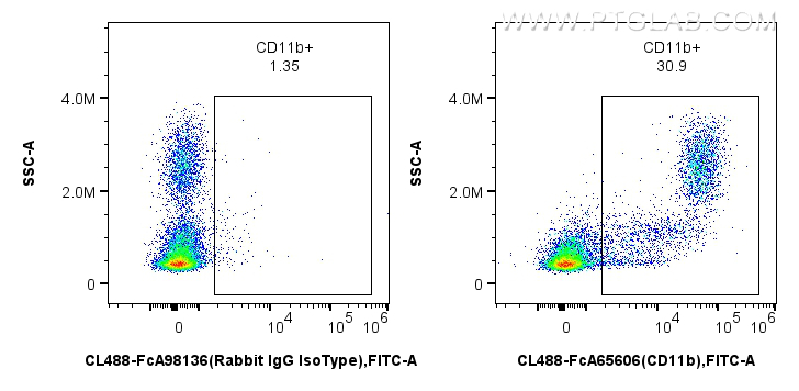 FC experiment of rat bone marrow cells using CL488-FcA65606 FC experiment of rat bone marrow cells using CL488-FcA65606
