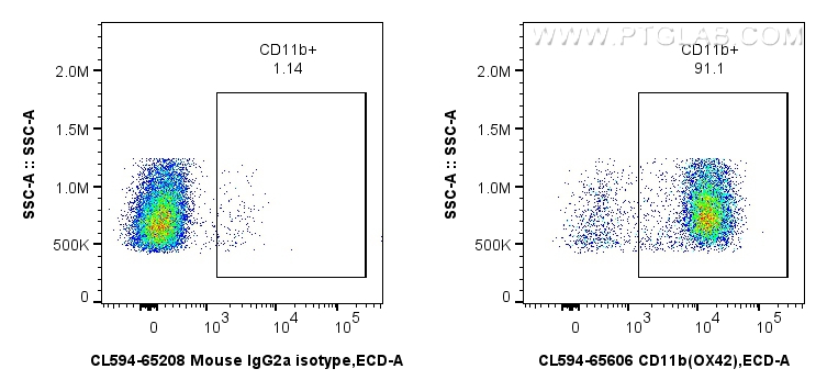 FC experiment of rat bone marrow cells using CL594-65606