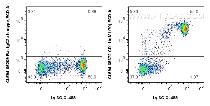 1x10^6 mouse bone marrow cells were surface stained with CoraLite® Plus 488 Anti-Mouse Ly-6G, and 0.25 ug CoraLite®594 Anti-Mouse CD11b (M1/70) Rat IgG2a RecAb (CL594-65672, Clone:M1/70) or CoraLite®594 Rat IgG2a Isotype Control (2A3) (<a class='green' href='/productredirect?CatalogNo=CL594-65209' target='_blank'>CL594-65209</a>, Clone: 2A3). Cells were not fixed. FC experiment of mouse bone marrow cells using CL594-65672