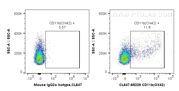 FC experiment of wistar rat splenocytes using CL647-65229