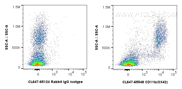 FC experiment of rat bone marrow using CL647-65548