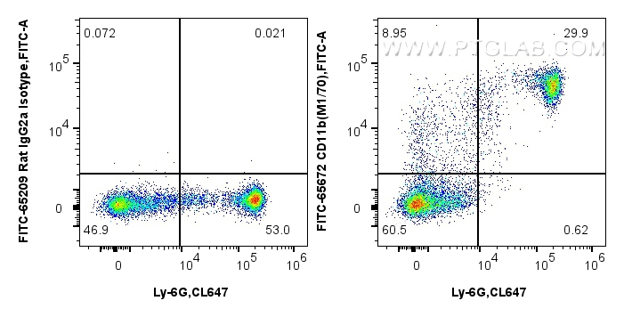 1x10^6 mouse bone marrow cells were surface stained with CoraLite® Plus 647 Anti-Mouse Ly-6G Rabbit Recombinant Antibody (<a class='green' href='/productredirect?CatalogNo=CL647-98284' target='_blank'>CL647-98284</a>, Clone: 242141B11), and 0.25 ug FITC Plus Anti-Mouse CD11b (M1/70) Rat IgG2a RecAb (FITC-65672, Clone: M1/70) or FITC Plus Rat IgG2a Isotype Control (2A3) (<a class='green' href='/productredirect?CatalogNo=FITC-65209' target='_blank'>FITC-65209</a>, Clone: 2A3). Cells were not fixed. FC experiment of mouse bone marrow cells using FITC-65672