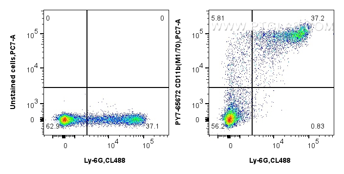 1x10^6 mouse bone marrow cells were surface stained with 0.05 ug CoraLite® Plus 488 Anti-Mouse Ly-6G Rabbit Recombinant Antibody (<a class='green' href='/productredirect?CatalogNo=CL488-98284' target='_blank'>CL488-98284</a>, Clone: 242141B11), and 0.05 ug PE-Cyanine7 Anti-Mouse CD11b (M1/70) Rat IgG2a RecAb (PY7-65672, Clone: M1/70) or unstained. Cells were not fixed. FC experiment of mouse bone marrow cells using PY7-65672