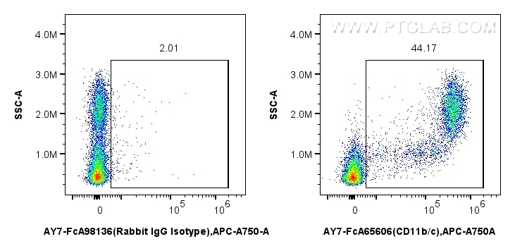 FC experiment of rat bone marrow cells using AY7-FcA65606 FC experiment of rat bone marrow cells using AY7-FcA65606