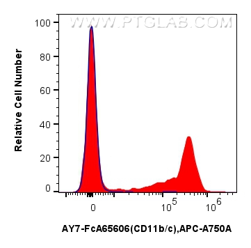 FC experiment of rat bone marrow cells using AY7-FcA65606 FC experiment of rat bone marrow cells using AY7-FcA65606