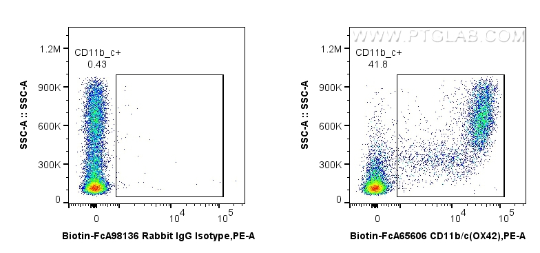 FC experiment of rat bone marrow cells using Biotin-FcA65606 FC experiment of rat bone marrow cells using Biotin-FcA65606