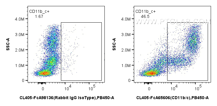 FC experiment of rat bone marrow cells using CL405-FcA65606 FC experiment of rat bone marrow cells using CL405-FcA65606
