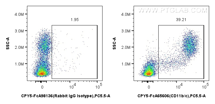 FC experiment of rat bone marrow cells using CPY5-FcA65606