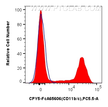 FC experiment of rat bone marrow cells using CPY5-FcA65606