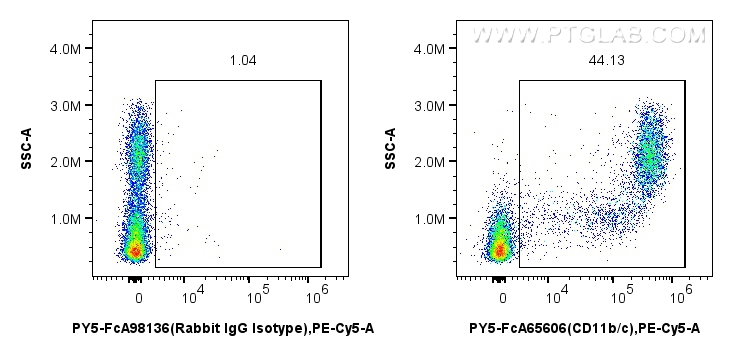 FC experiment of rat bone marrow cells using PY5-FcA65606