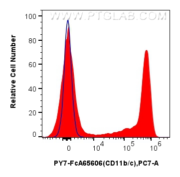 FC experiment of rat bone marrow cells using PY7-FcA65606 FC experiment of rat bone marrow cells using PY7-FcA65606