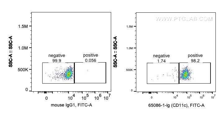 CD11c