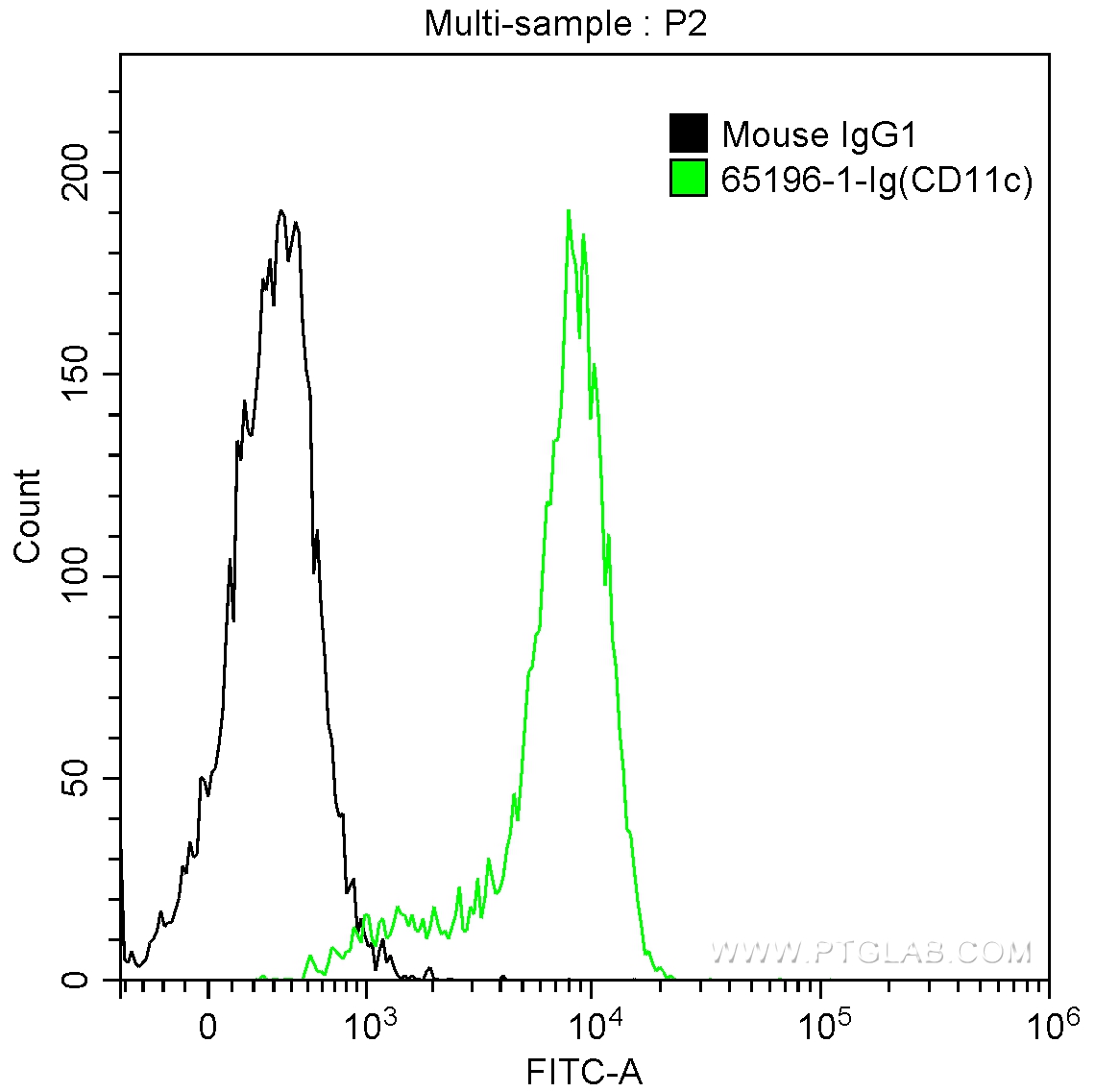 CD11c