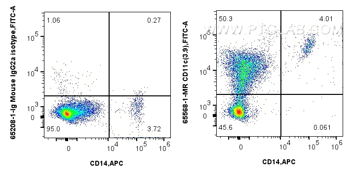 FC experiment of human peripheral blood leukocyte using 65568-1-MR (same clone as 65568-1-PBS)