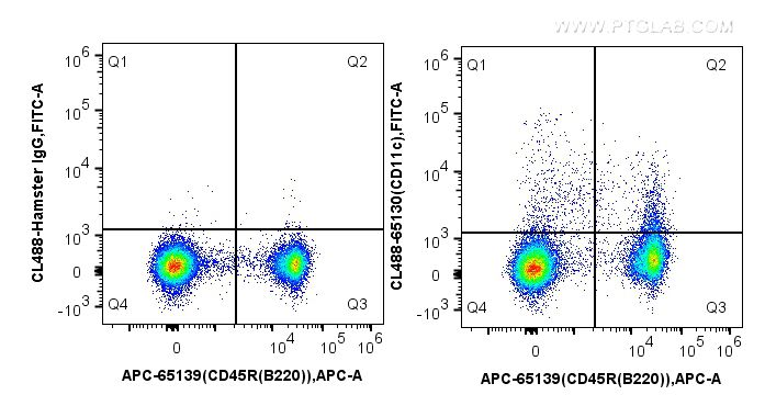 FC experiment of mouse splenocytes using CL488-65130