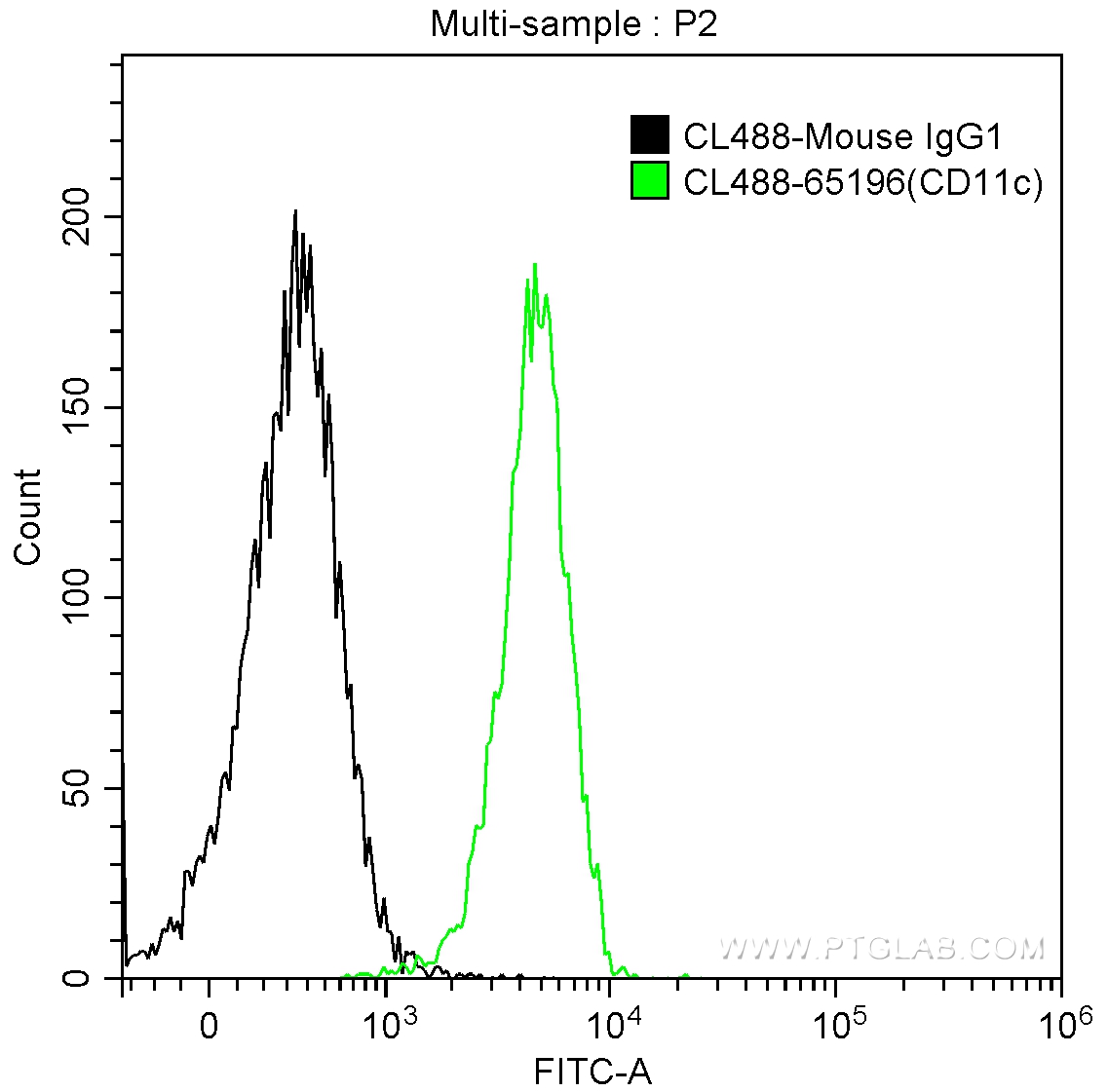 CD11c