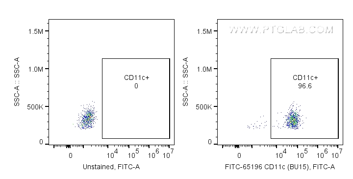 CD11c