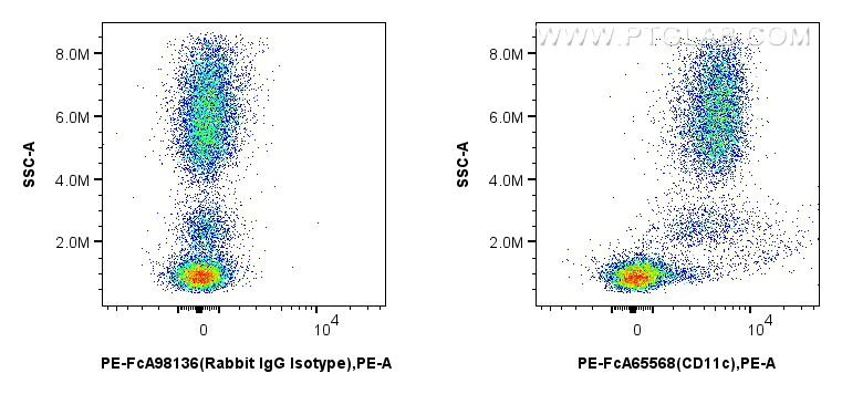 FC experiment of human PBMCs using PE-FcA65568