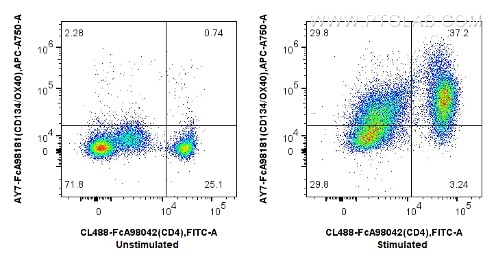 FC experiment of human PBMCs using AY7-FcA98181 FC experiment of human PBMCs using AY7-FcA98181