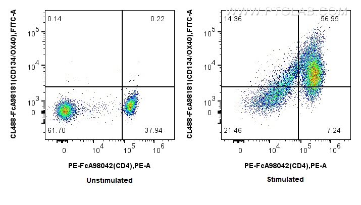 FC experiment of human PBMCs using CL488-FcA98181 FC experiment of human PBMCs using CL488-FcA98181