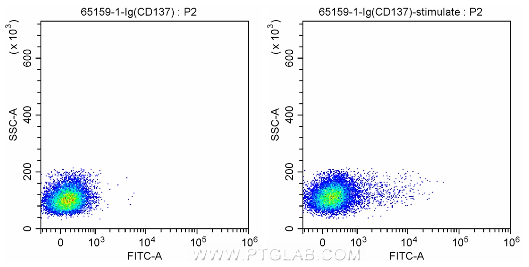 FC experiment of human peripheral blood mononuclear cells using 65159-1-Ig